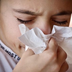 Alergia la praful de casă. Surse de praf &icirc;n casă